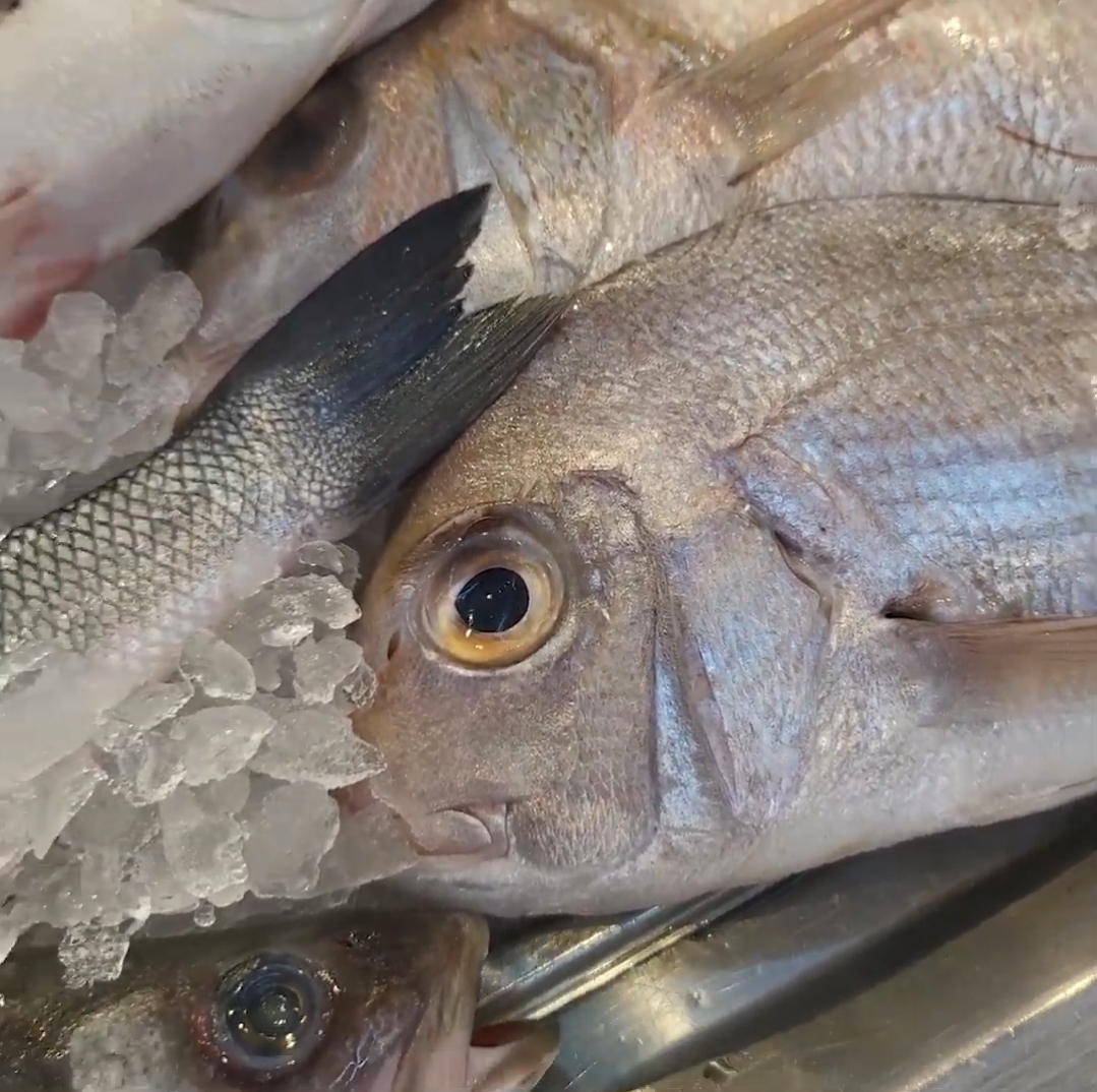 Argentinian Blood Sausage with Potatoes Sweet Zivile